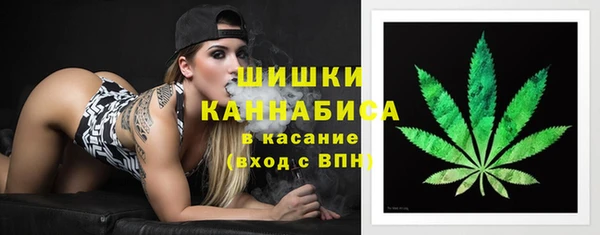 крисы Верея