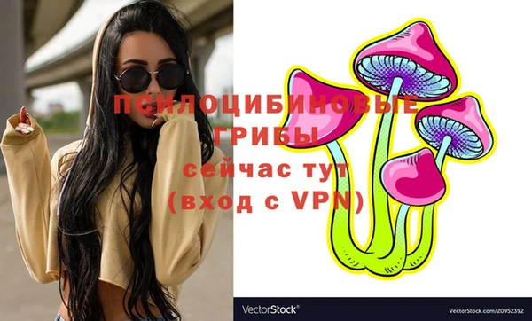 крисы Верея
